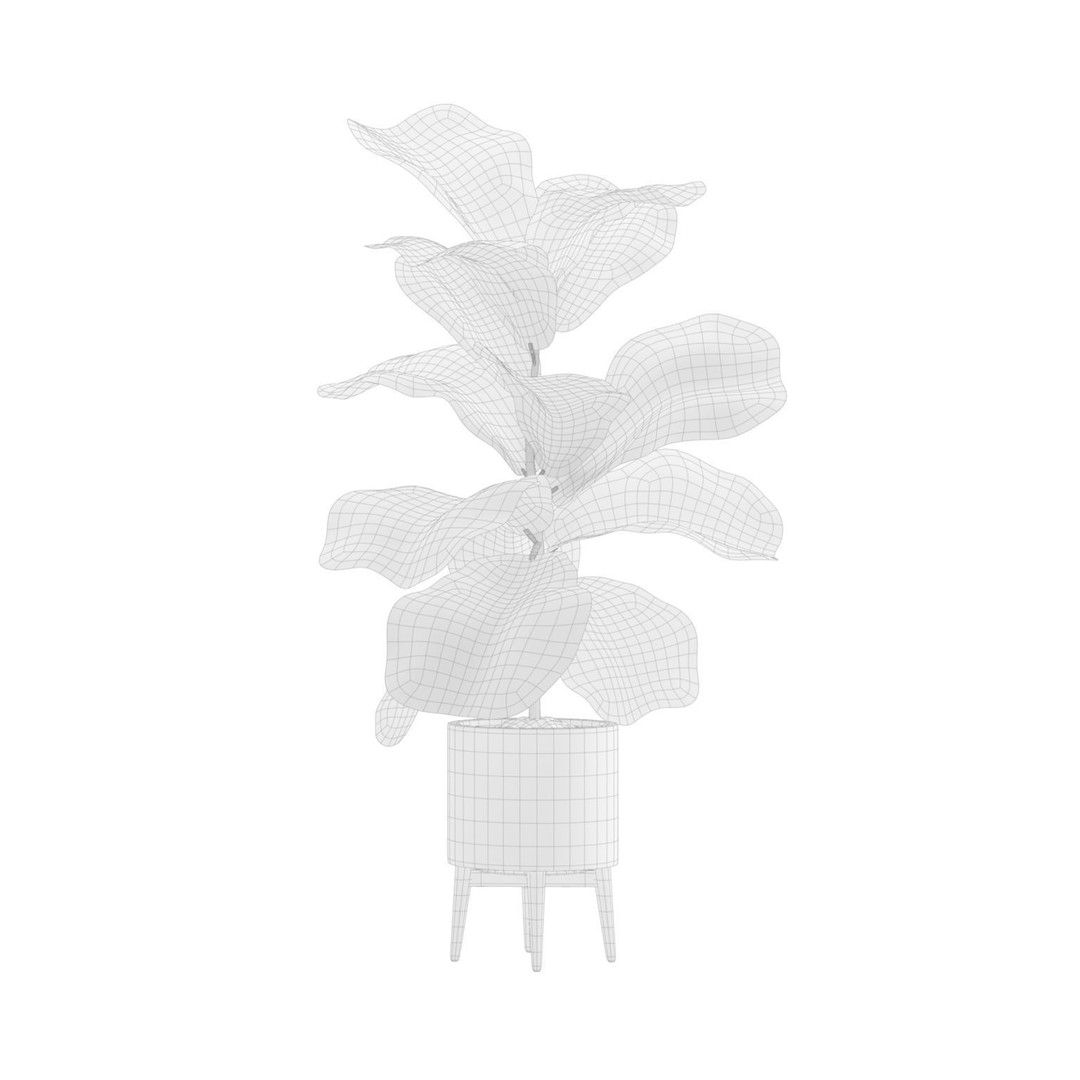 Indoor Plants 3D Model – Exotic Low Poly Set for Interior Renders - View 8