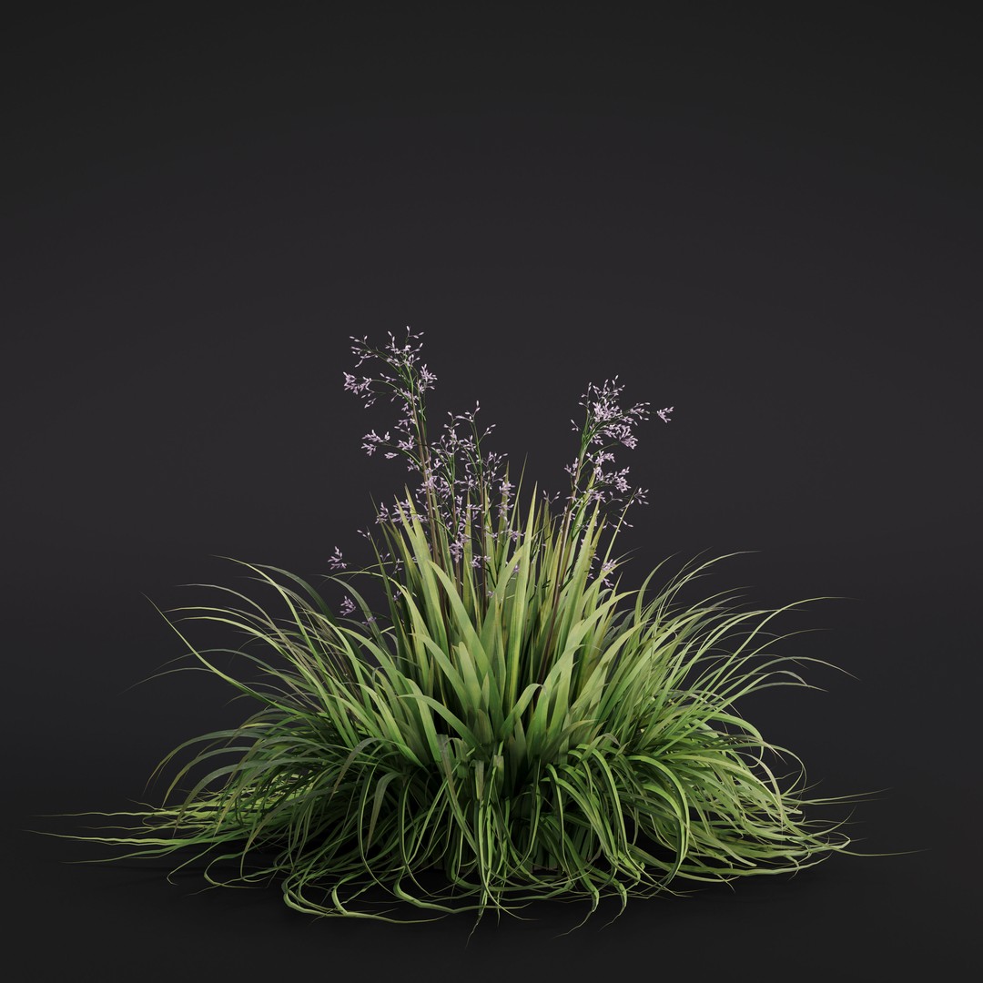 Garden Plants 3D Model – Photorealistic Collection, FBX & Corona