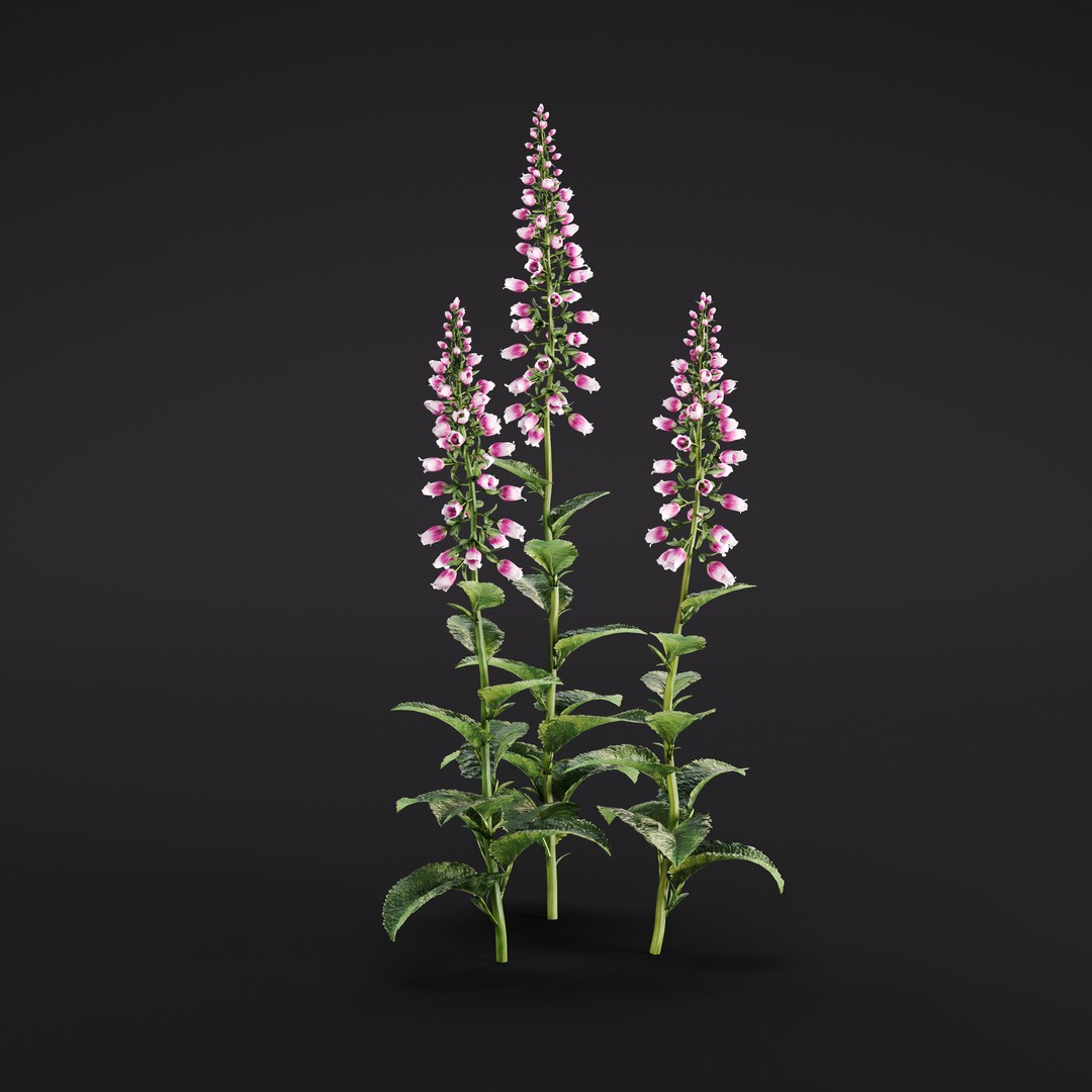 Garden Plants 3D Model – Photorealistic Collection, FBX & Corona - View 10