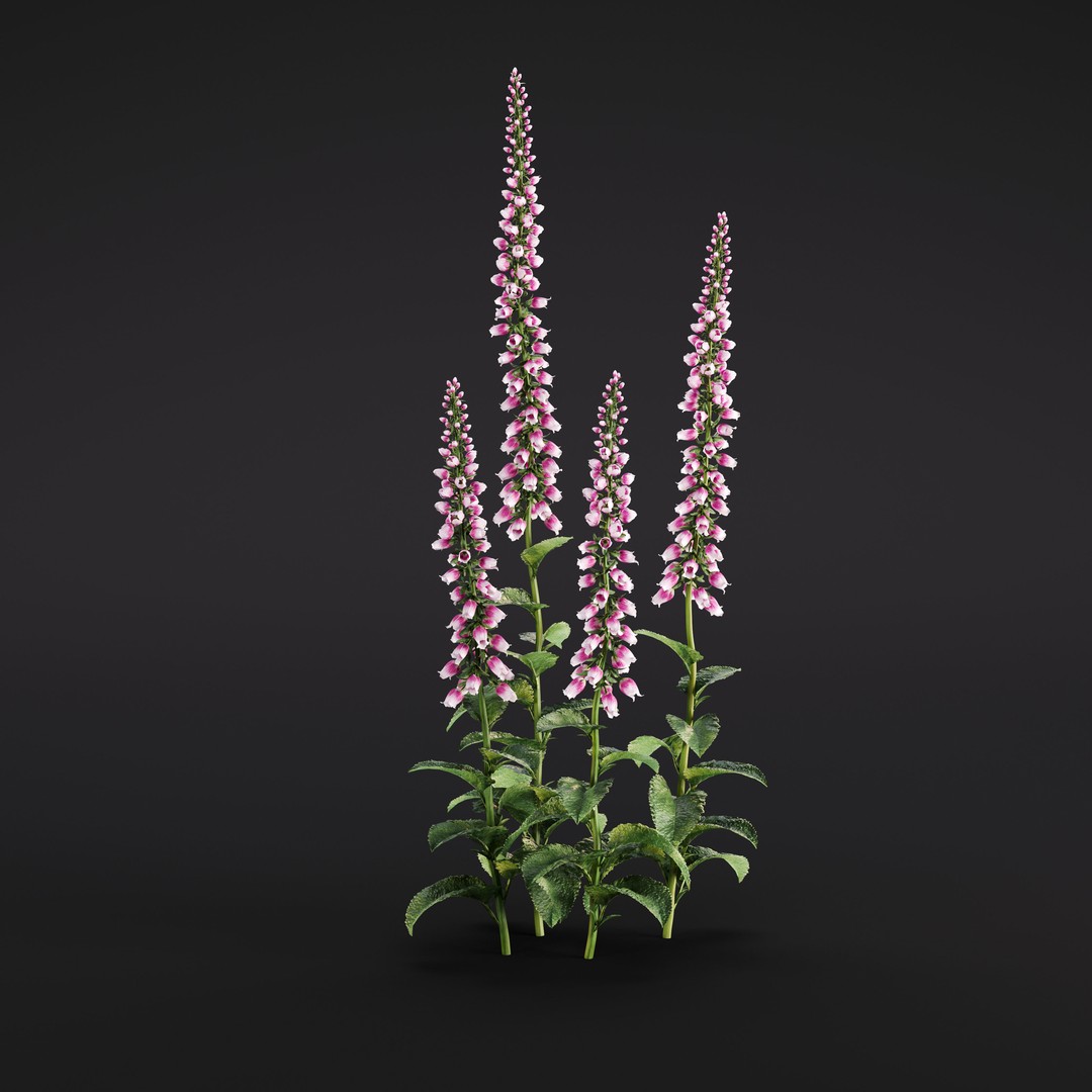 Garden Plants 3D Model – Photorealistic Collection, FBX & Corona - View 11