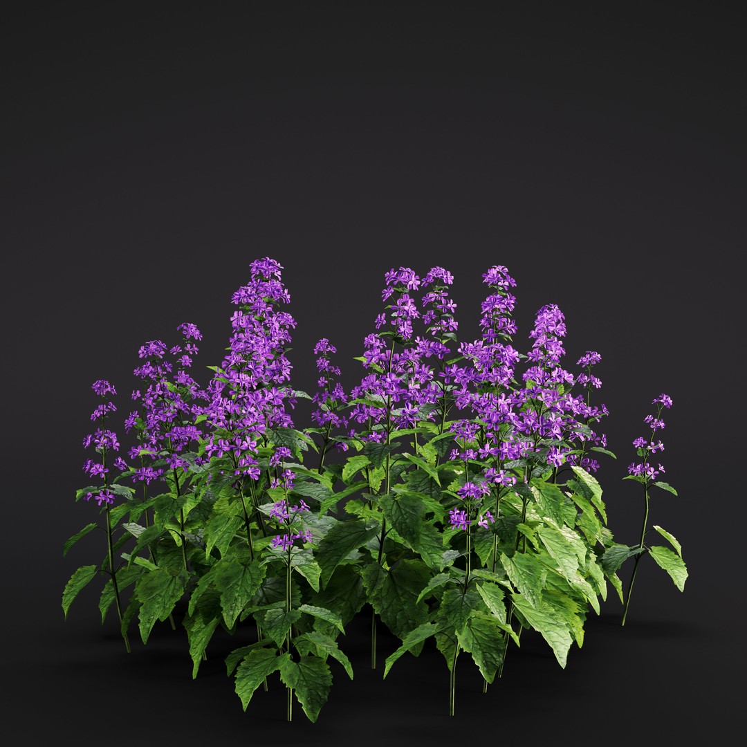Garden Plants 3D Model – Photorealistic Collection, FBX & Corona - View 12
