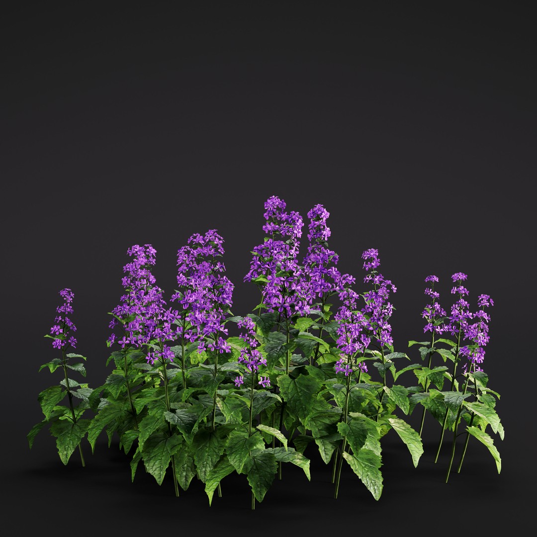 Garden Plants 3D Model – Photorealistic Collection, FBX & Corona - View 13