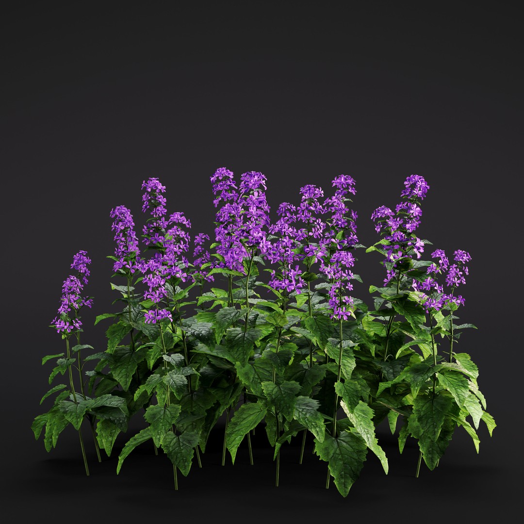 Garden Plants 3D Model – Photorealistic Collection, FBX & Corona - View 14