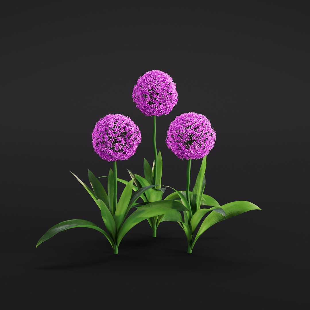 Garden Plants 3D Model – Photorealistic Collection, FBX & Corona - View 15