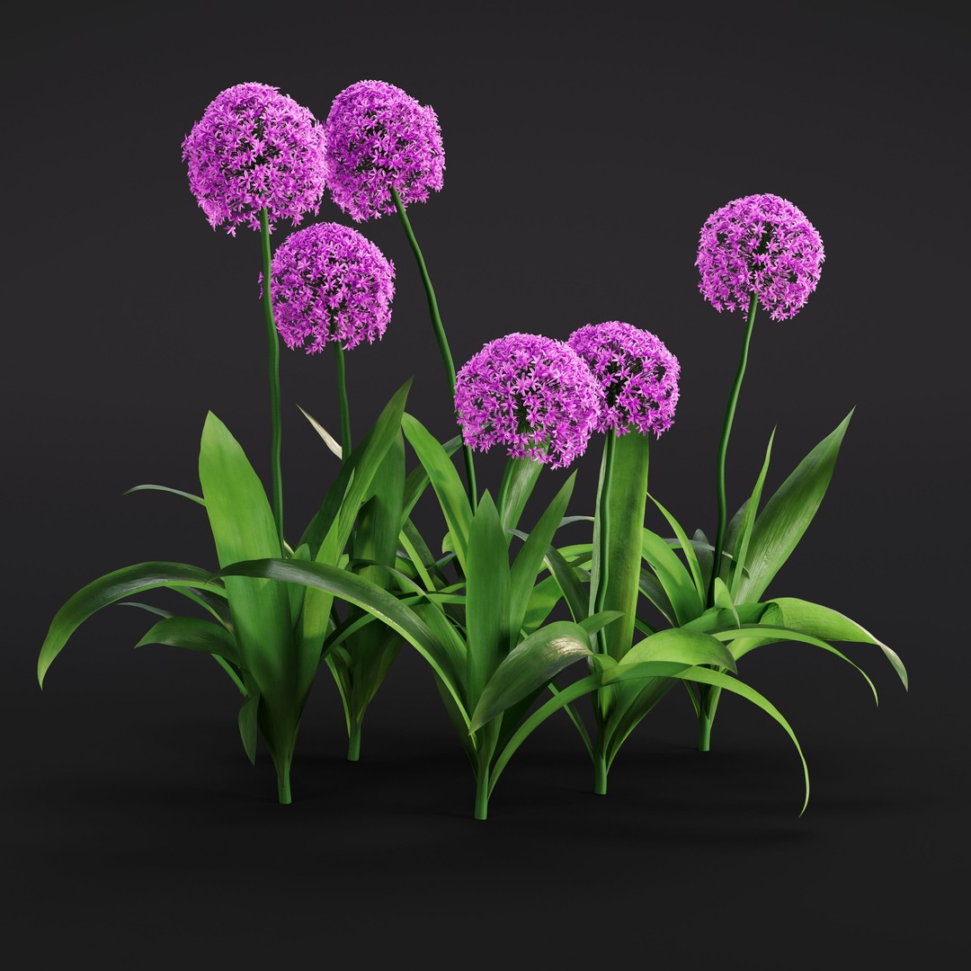 Garden Plants 3D Model – Photorealistic Collection, FBX & Corona - View 16