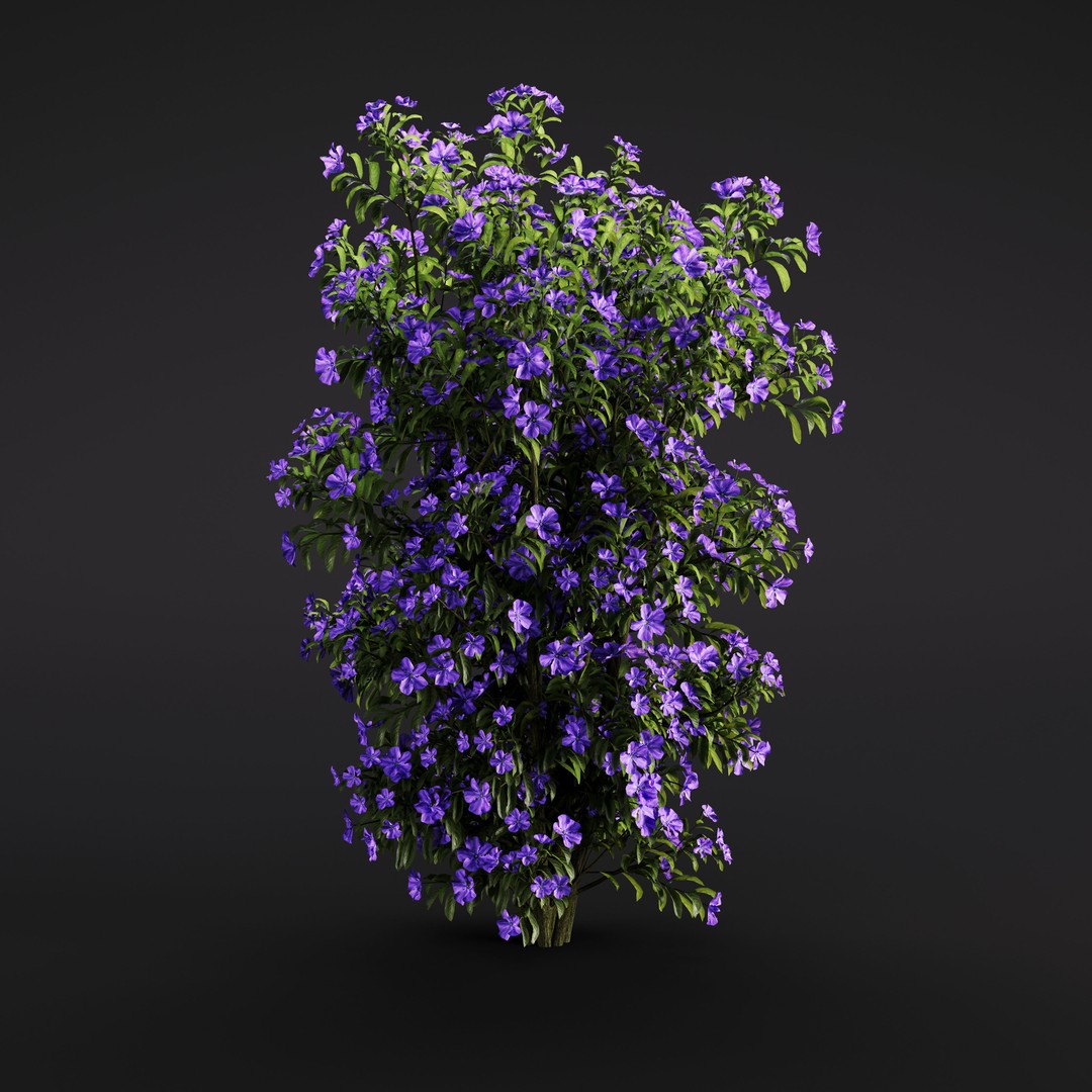 Garden Plants 3D Model – Photorealistic Collection, FBX & Corona - View 18