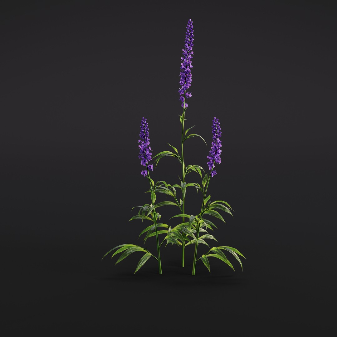 Garden Plants 3D Model – Photorealistic Collection, FBX & Corona - View 20