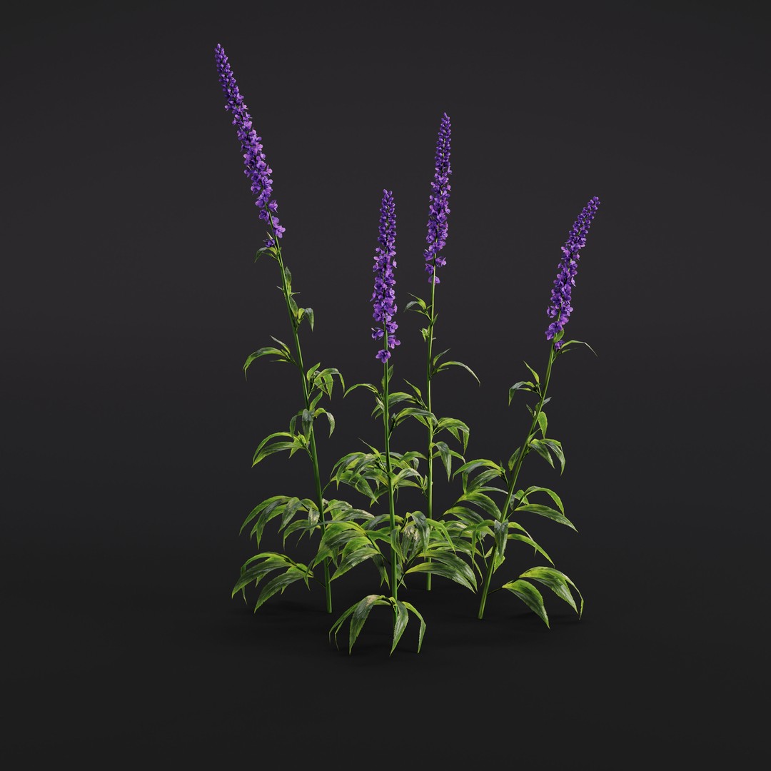 Garden Plants 3D Model – Photorealistic Collection, FBX & Corona - View 21