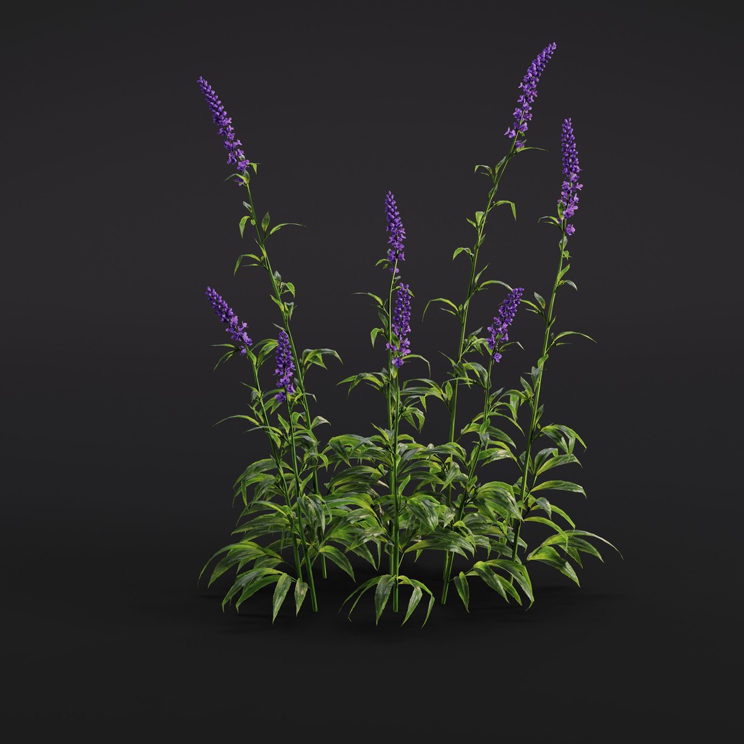 Garden Plants 3D Model – Photorealistic Collection, FBX & Corona - View 22
