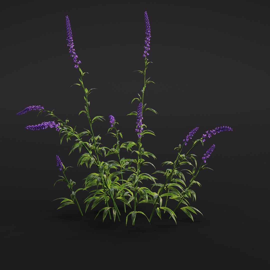 Garden Plants 3D Model – Photorealistic Collection, FBX & Corona - View 23
