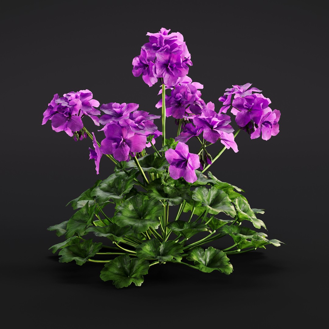 Garden Plants 3D Model – Photorealistic Collection, FBX & Corona - View 24