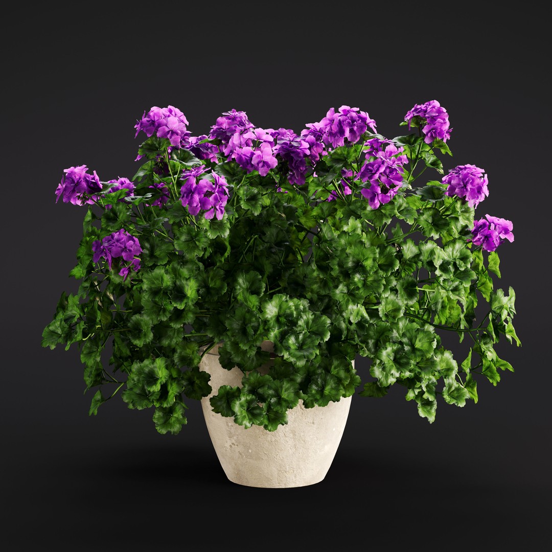 Garden Plants 3D Model – Photorealistic Collection, FBX & Corona - View 25