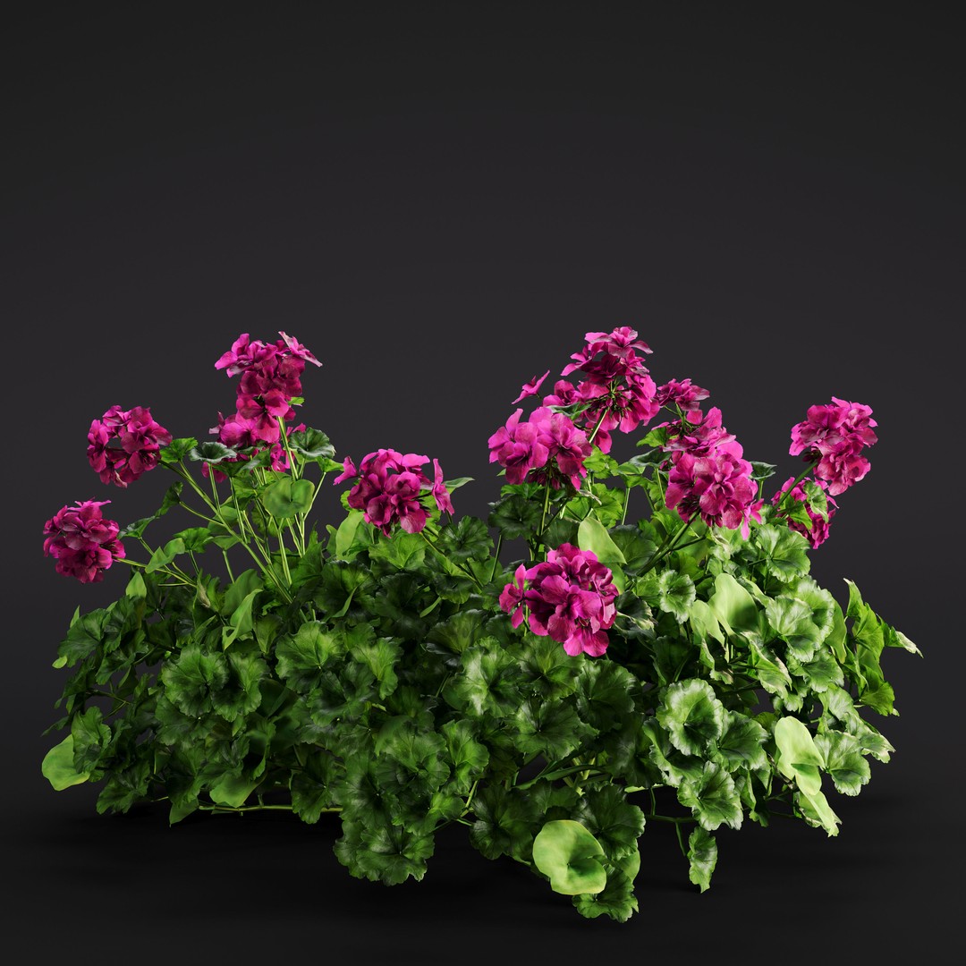 Garden Plants 3D Model – Photorealistic Collection, FBX & Corona - View 27