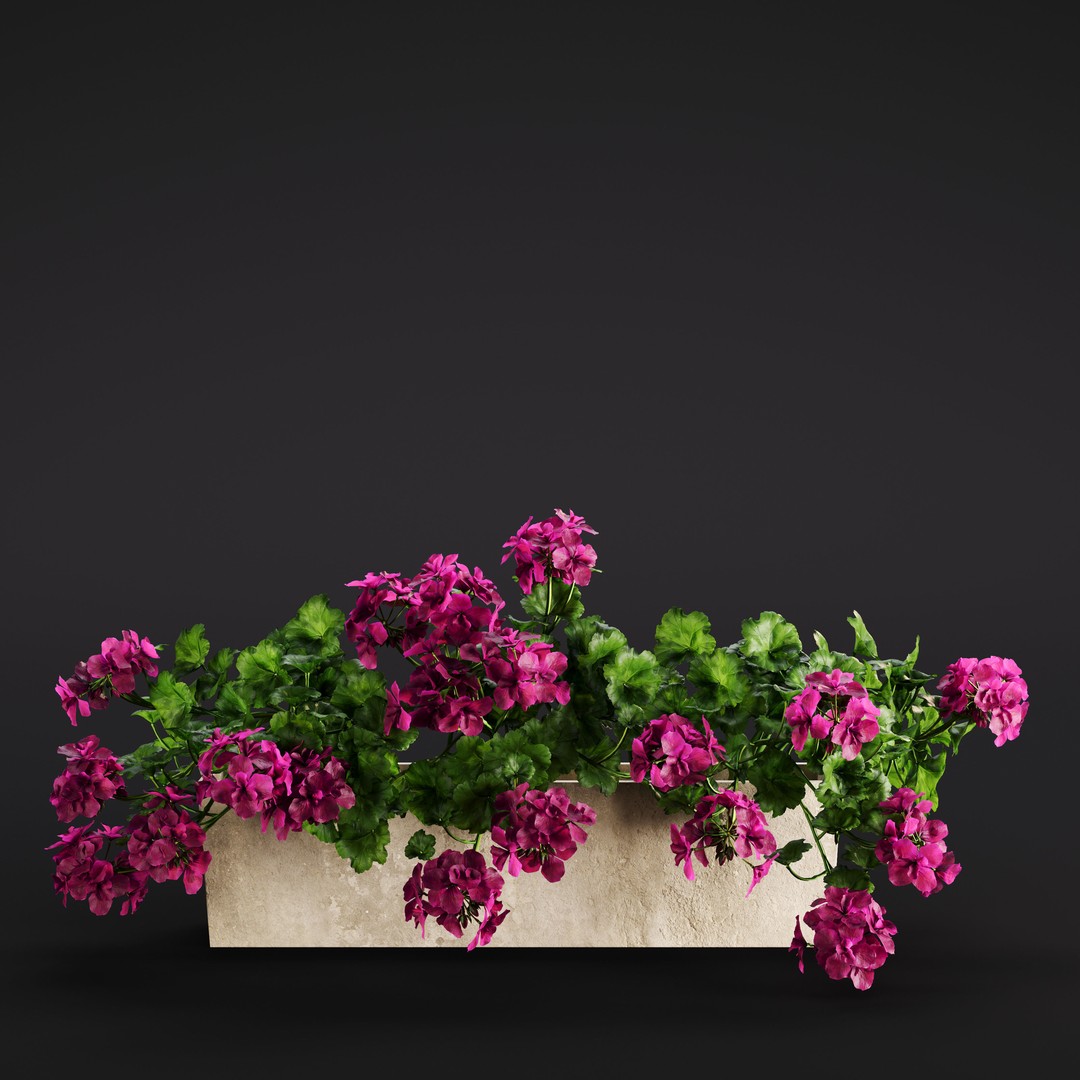 Garden Plants 3D Model – Photorealistic Collection, FBX & Corona - View 28