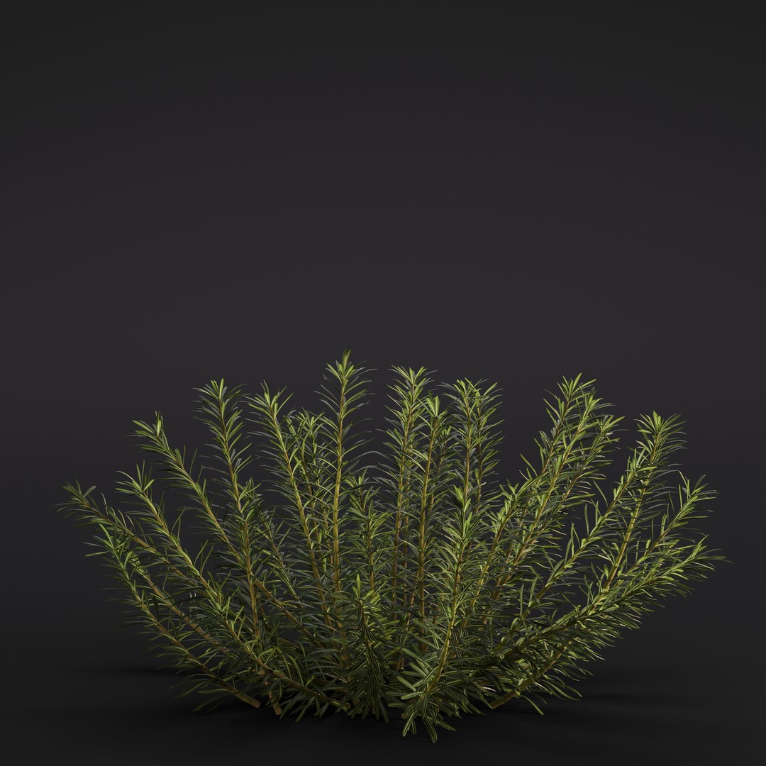 Garden Plants 3D Model – Photorealistic Collection, FBX & Corona - View 3