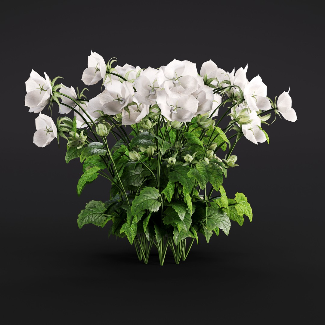 Garden Plants 3D Model – Photorealistic Collection, FBX & Corona - View 30