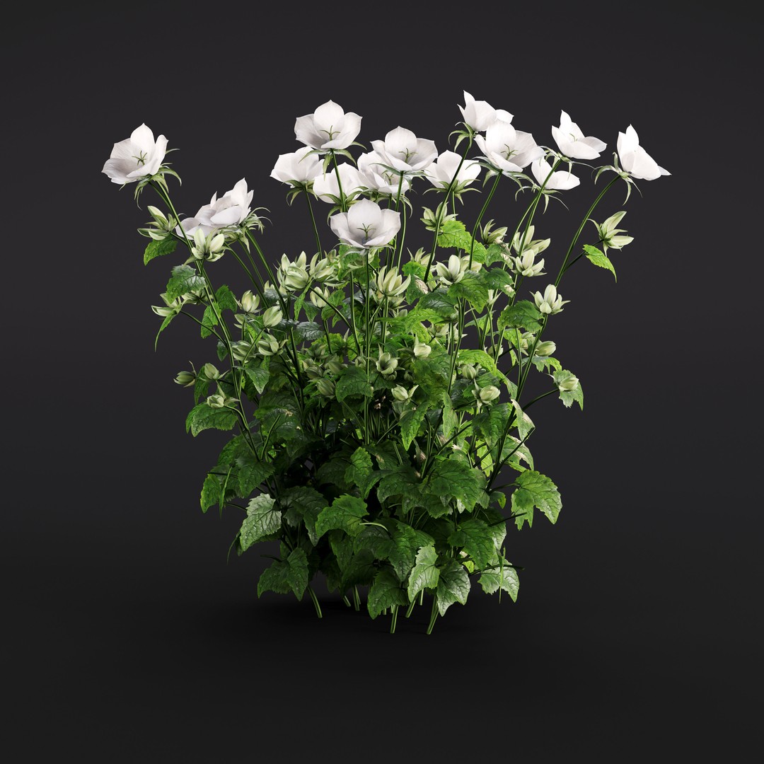 Garden Plants 3D Model – Photorealistic Collection, FBX & Corona - View 31