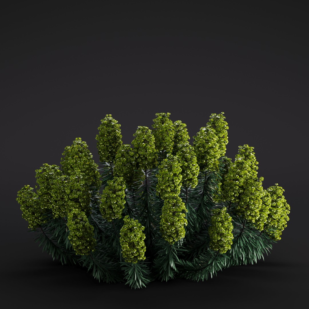 Garden Plants 3D Model – Photorealistic Collection, FBX & Corona - View 32