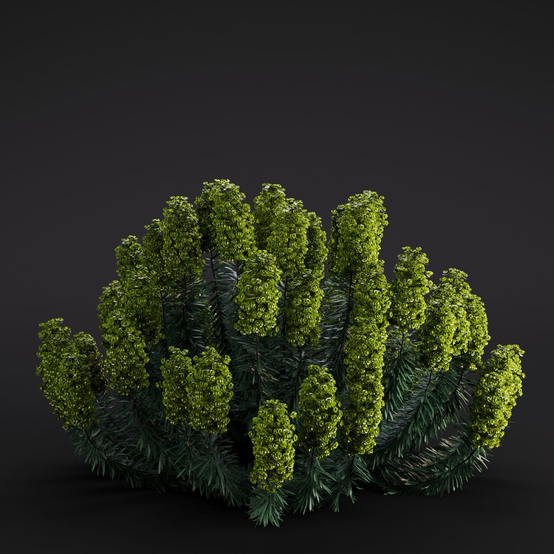 Garden Plants 3D Model – Photorealistic Collection, FBX & Corona - View 33