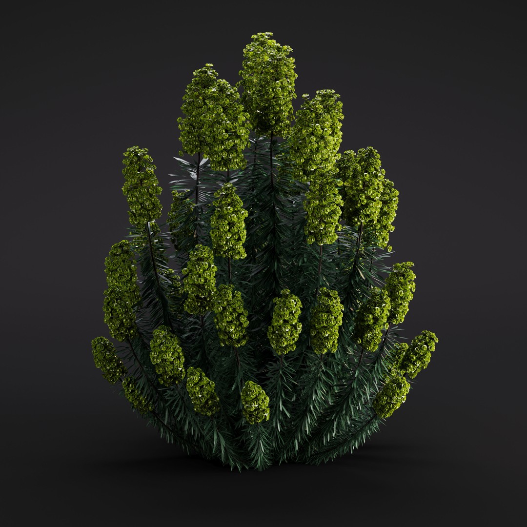 Garden Plants 3D Model – Photorealistic Collection, FBX & Corona - View 34