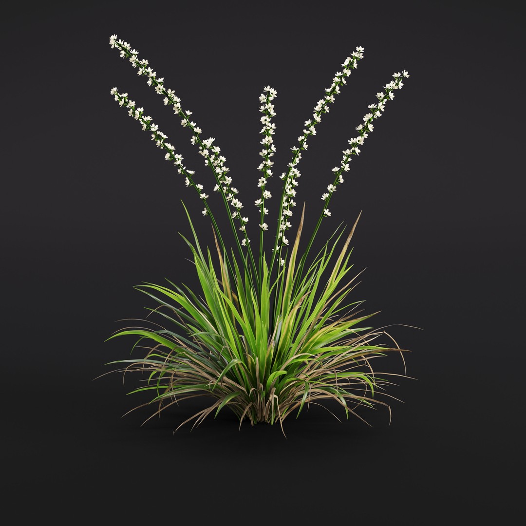 Garden Plants 3D Model – Photorealistic Collection, FBX & Corona - View 35