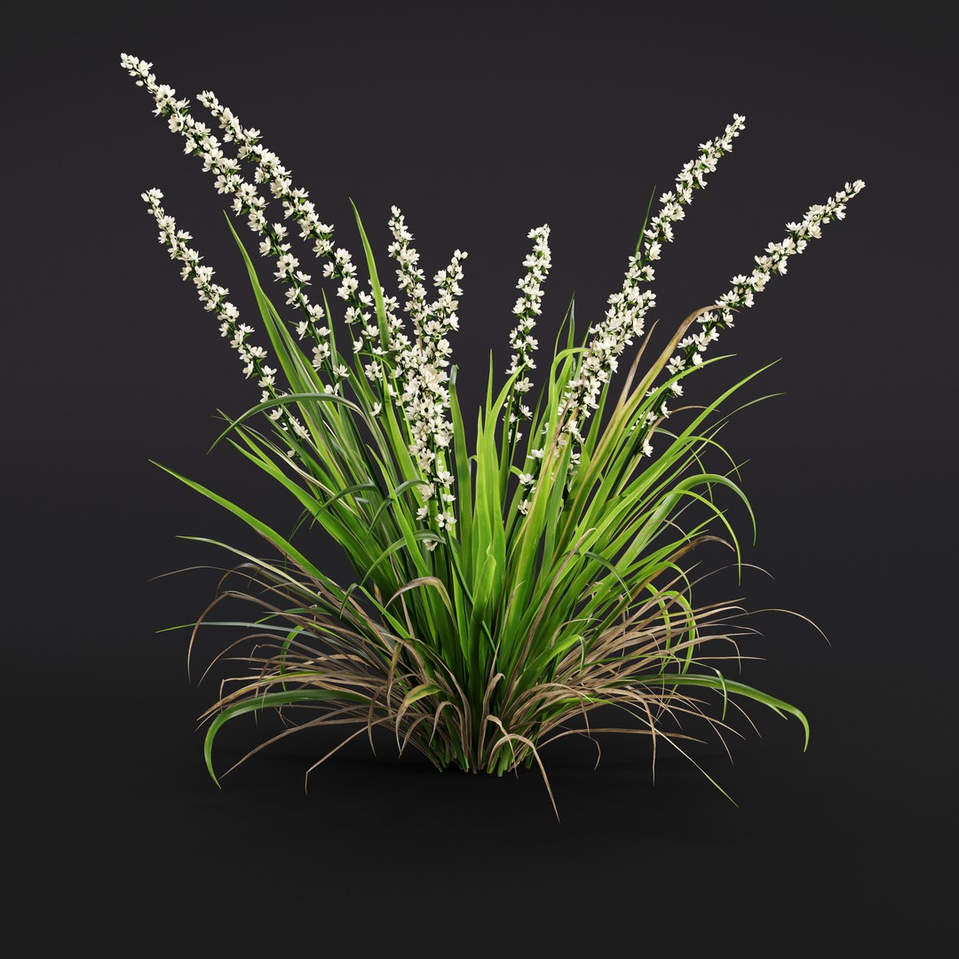 Garden Plants 3D Model – Photorealistic Collection, FBX & Corona - View 36