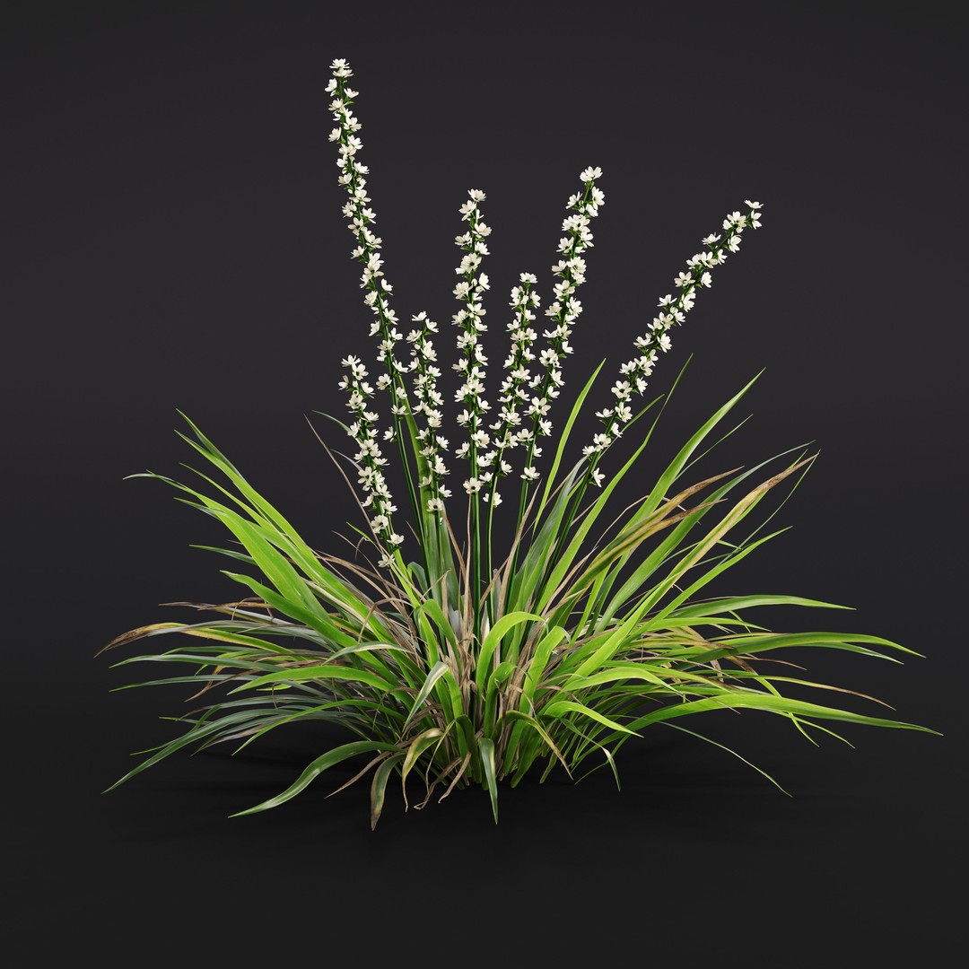 Garden Plants 3D Model – Photorealistic Collection, FBX & Corona - View 37