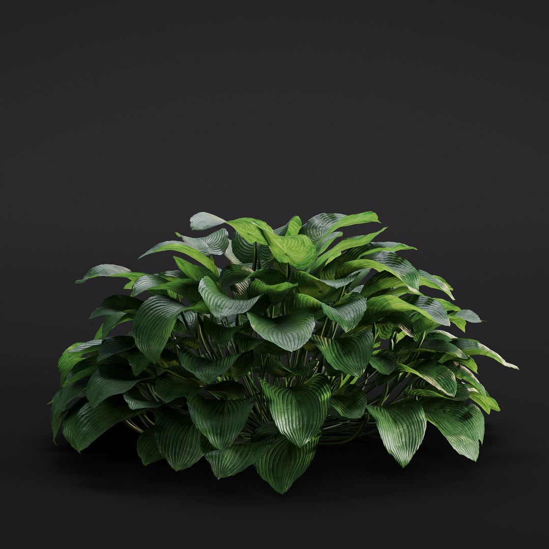 Garden Plants 3D Model – Photorealistic Collection, FBX & Corona - View 38