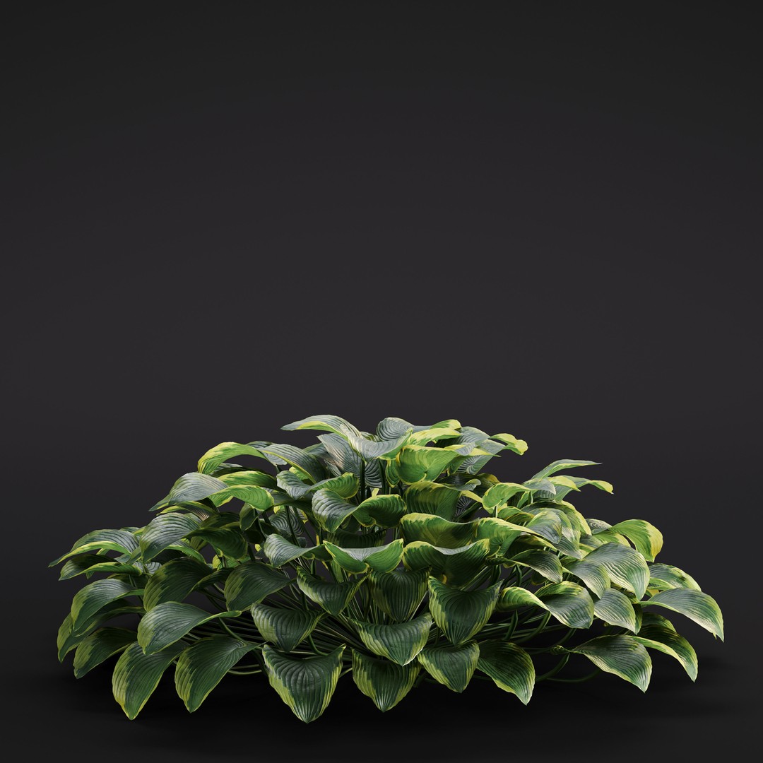 Garden Plants 3D Model – Photorealistic Collection, FBX & Corona - View 39