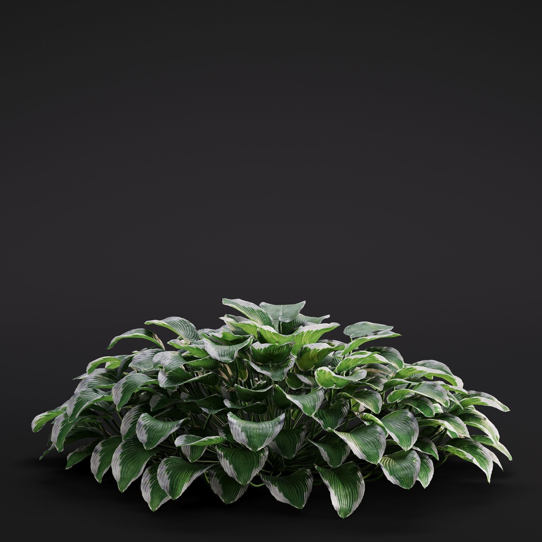 Garden Plants 3D Model – Photorealistic Collection, FBX & Corona - View 40