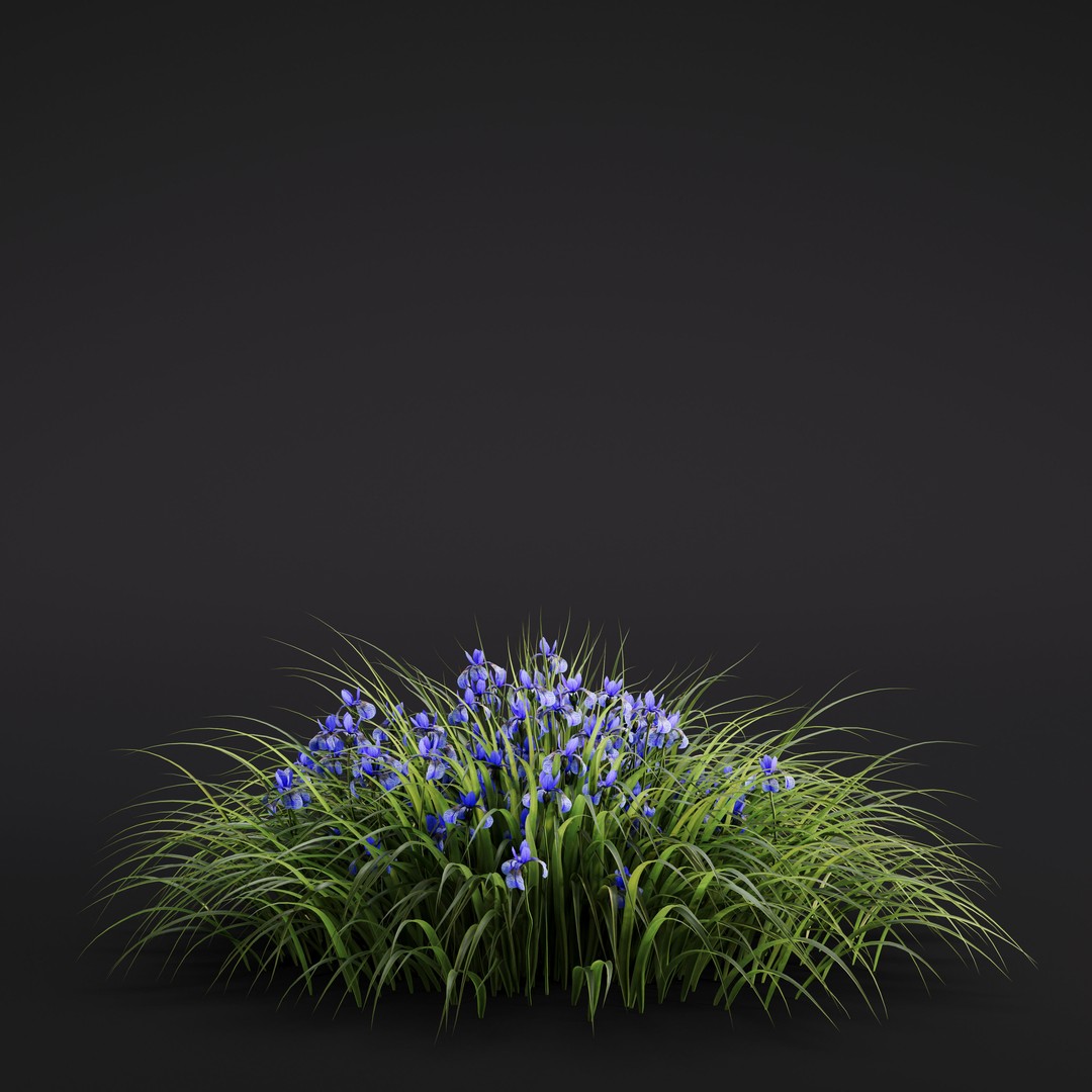 Garden Plants 3D Model – Photorealistic Collection, FBX & Corona - View 42