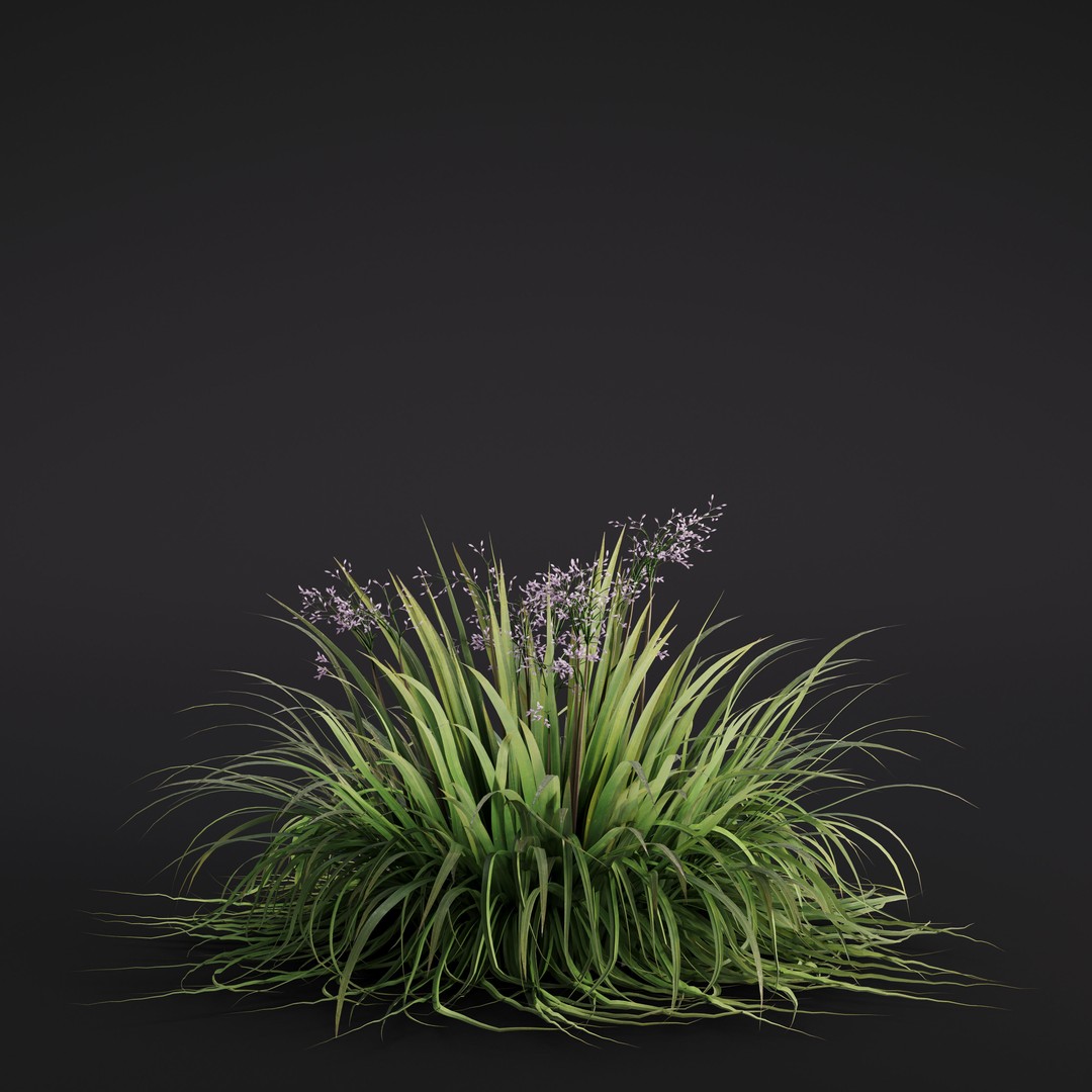 Garden Plants 3D Model – Photorealistic Collection, FBX & Corona - View 43