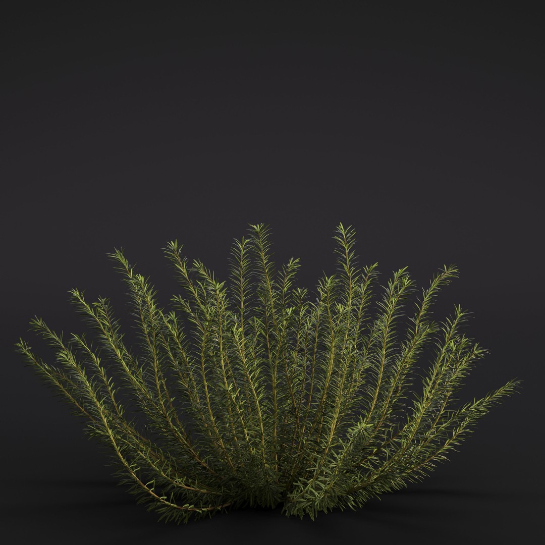 Garden Plants 3D Model – Photorealistic Collection, FBX & Corona - View 5