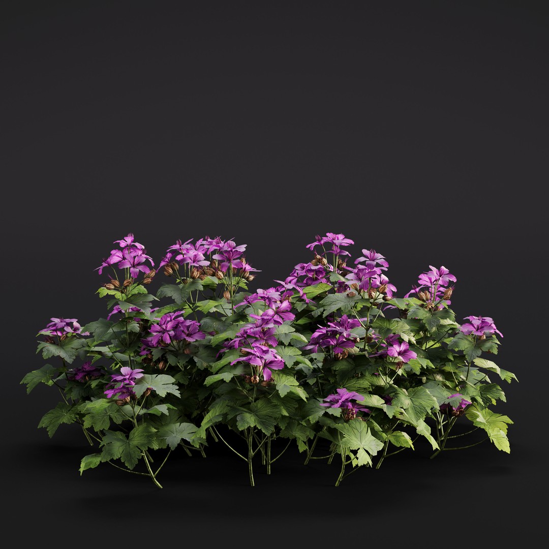 Garden Plants 3D Model – Photorealistic Collection, FBX & Corona - View 6