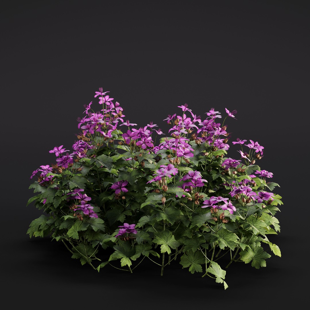 Garden Plants 3D Model – Photorealistic Collection, FBX & Corona - View 7