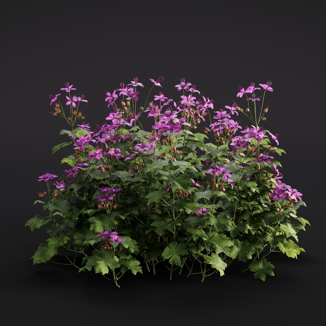 Garden Plants 3D Model – Photorealistic Collection, FBX & Corona - View 8