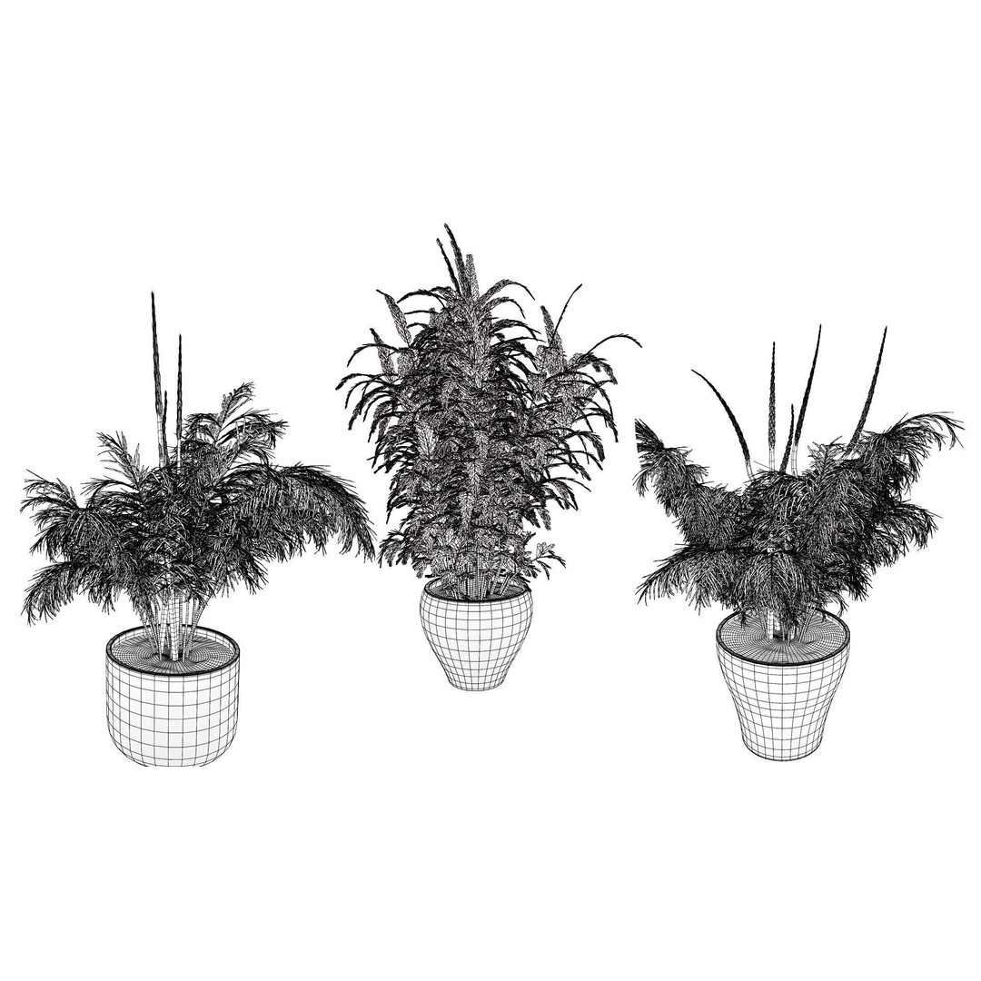 Asparagus Plant 3D Model – Low Poly Game Ready Asset, FBX, PBR