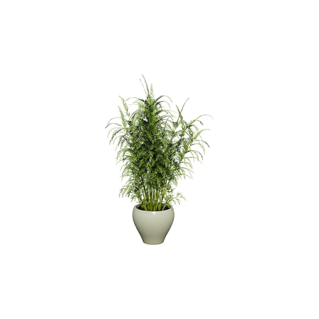 Asparagus Plant 3D Model – Low Poly Game Ready Asset, FBX, PBR - View 11