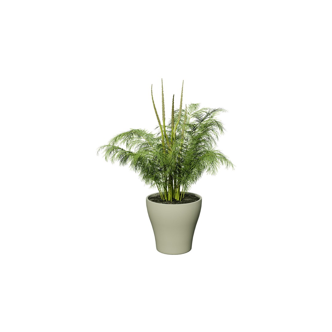 Asparagus Plant 3D Model – Low Poly Game Ready Asset, FBX, PBR - View 3