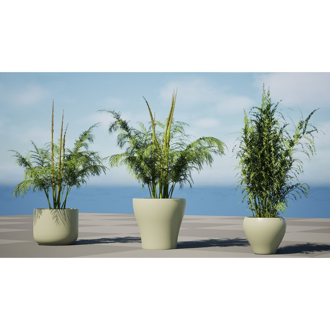 Asparagus Plant 3D Model – Low Poly Game Ready Asset, FBX, PBR - View 5
