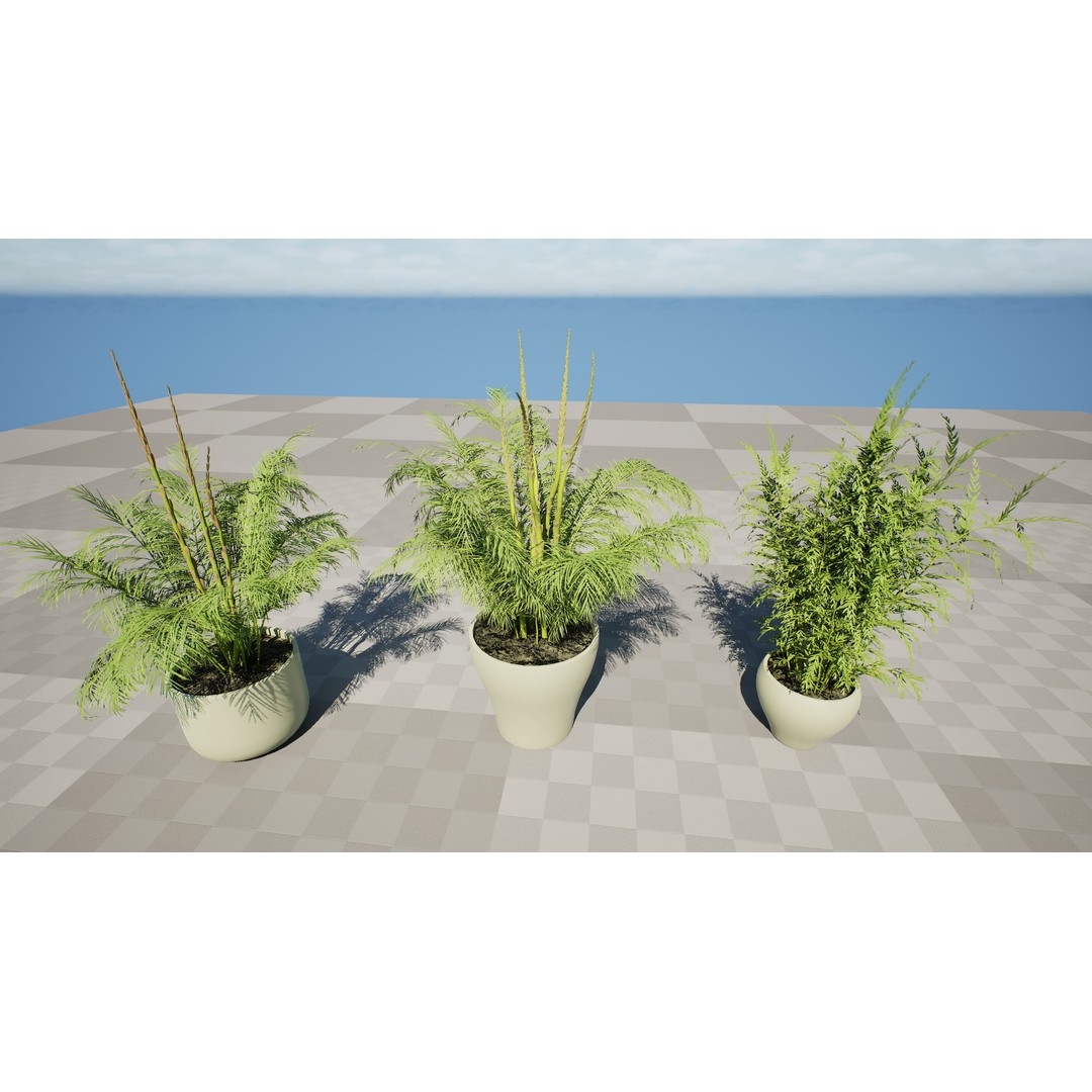 Asparagus Plant 3D Model – Low Poly Game Ready Asset, FBX, PBR - View 6