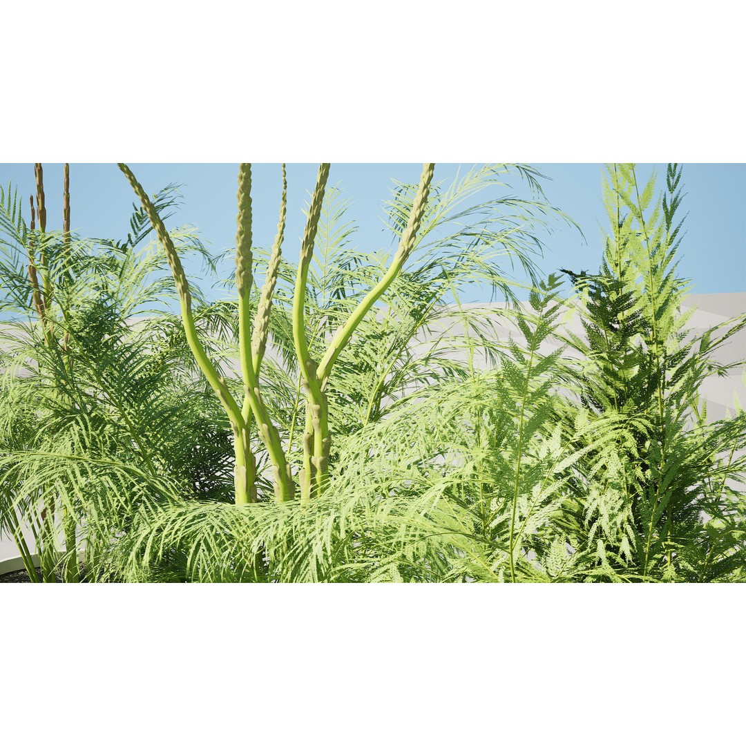 Asparagus Plant 3D Model – Low Poly Game Ready Asset, FBX, PBR - View 7