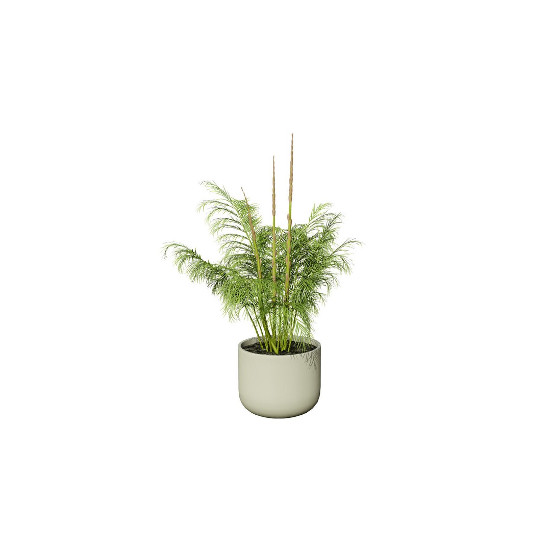 Asparagus Plant 3D Model – Low Poly Game Ready Asset, FBX, PBR - View 8