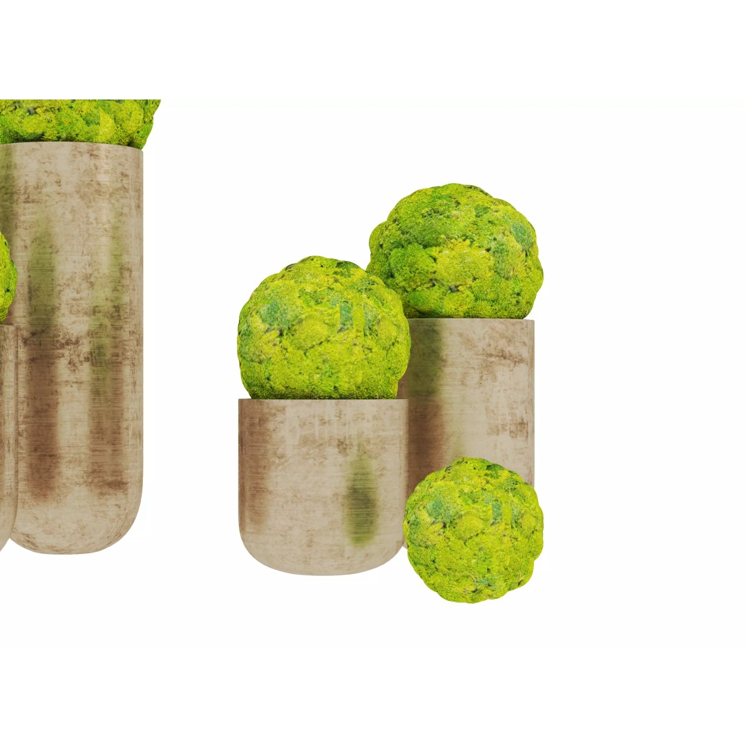 Modern Indoor Plants 3D Model – Realistic Pot Plant, FBX & OBJ Formats - View 5