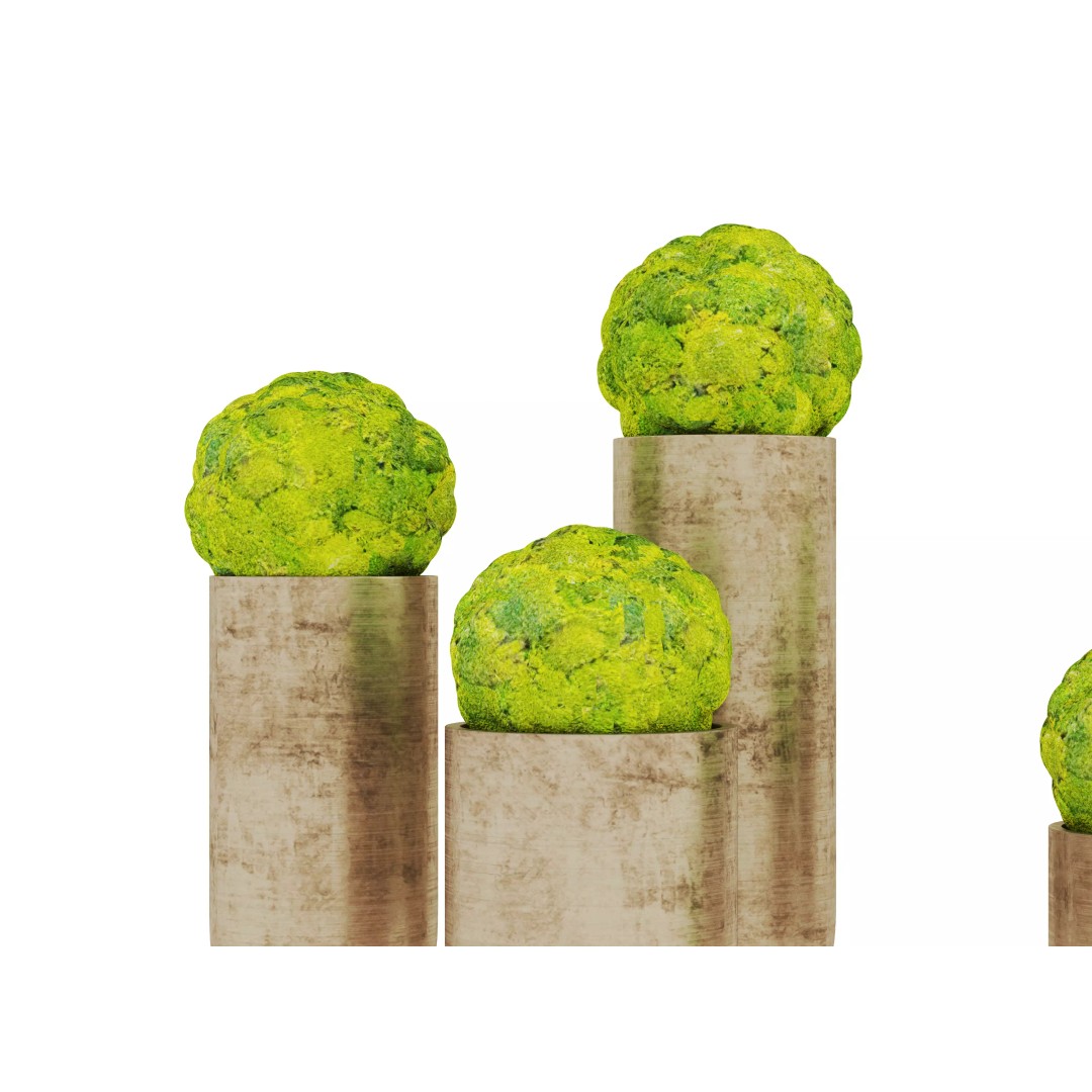 Modern Indoor Plants 3D Model – Realistic Pot Plant, FBX & OBJ Formats - View 7