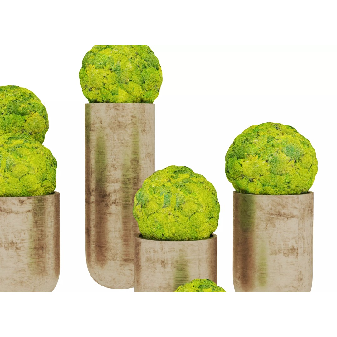 Modern Indoor Plants 3D Model – Realistic Pot Plant, FBX & OBJ Formats - View 8