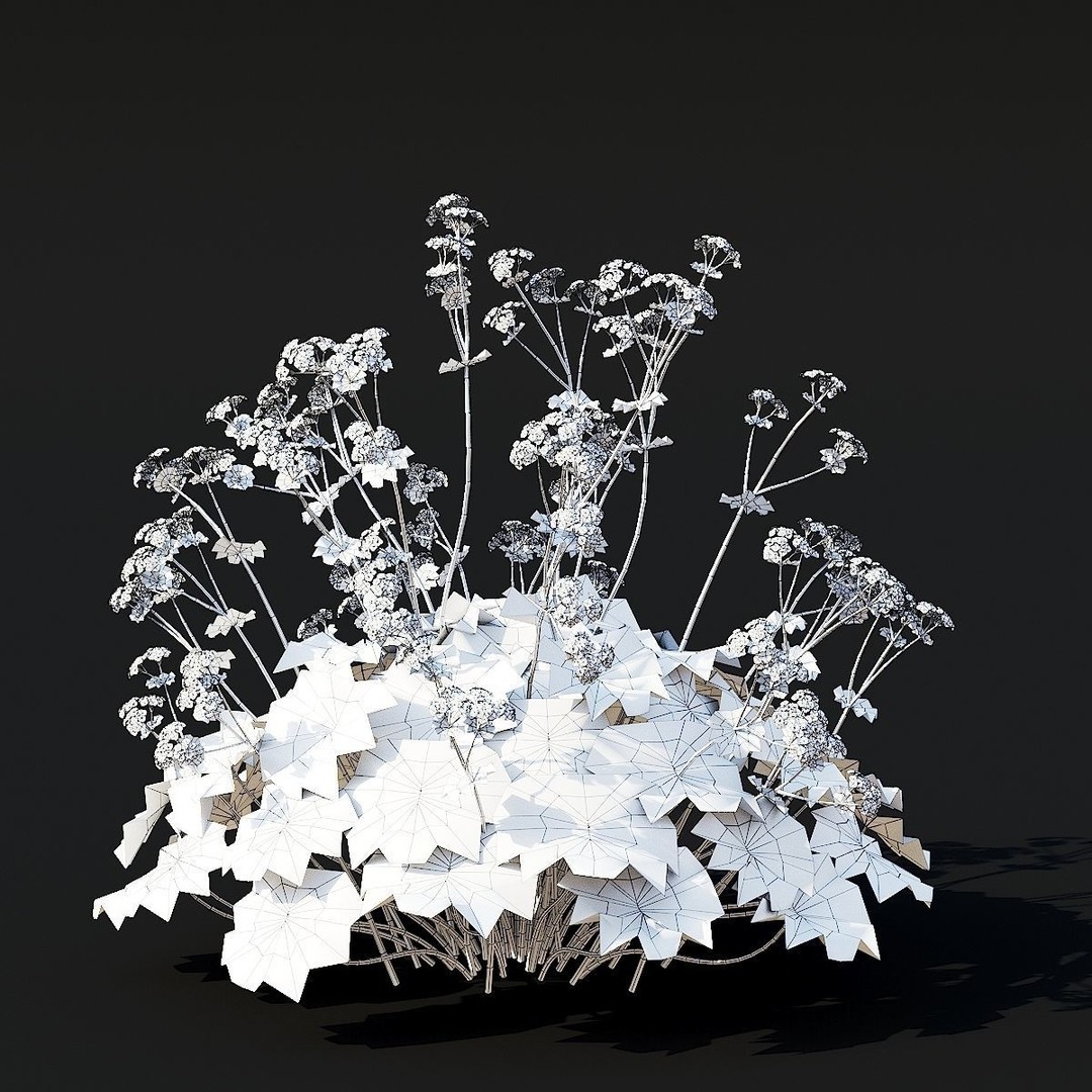 Alchemilla Mollis 3D Model – High Poly Flower Asset, FBX, PBR Textures - View 11