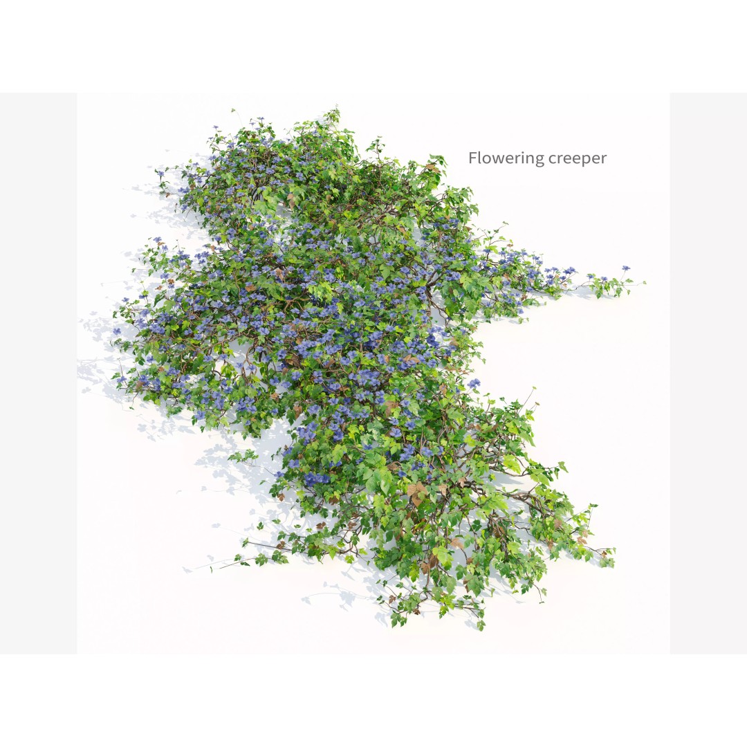 Flowering Creeper 3D Model – PBR Textured Plant Asset, FBX - View 2