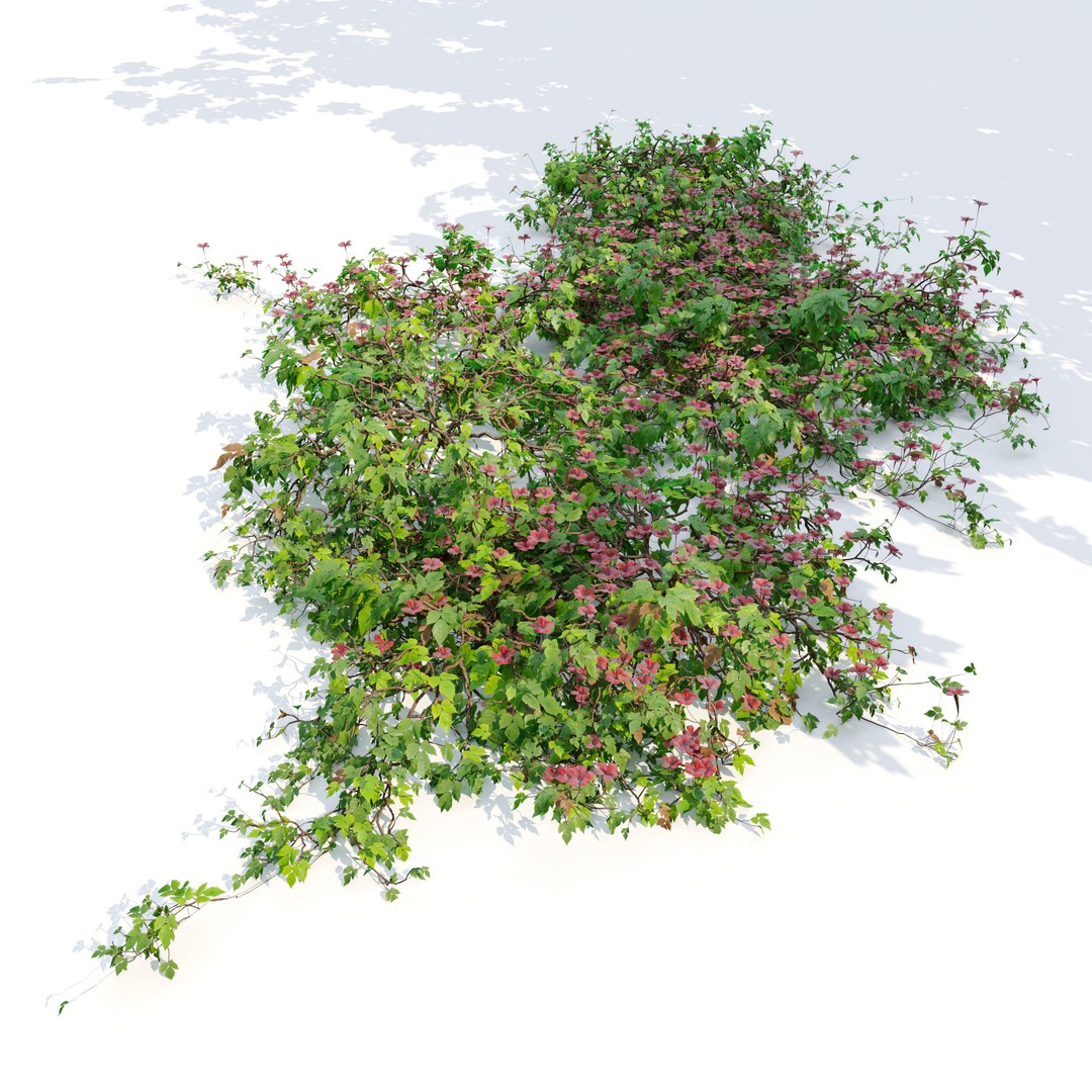 Flowering Creeper 3D Model – PBR Textured Plant Asset, FBX - View 3