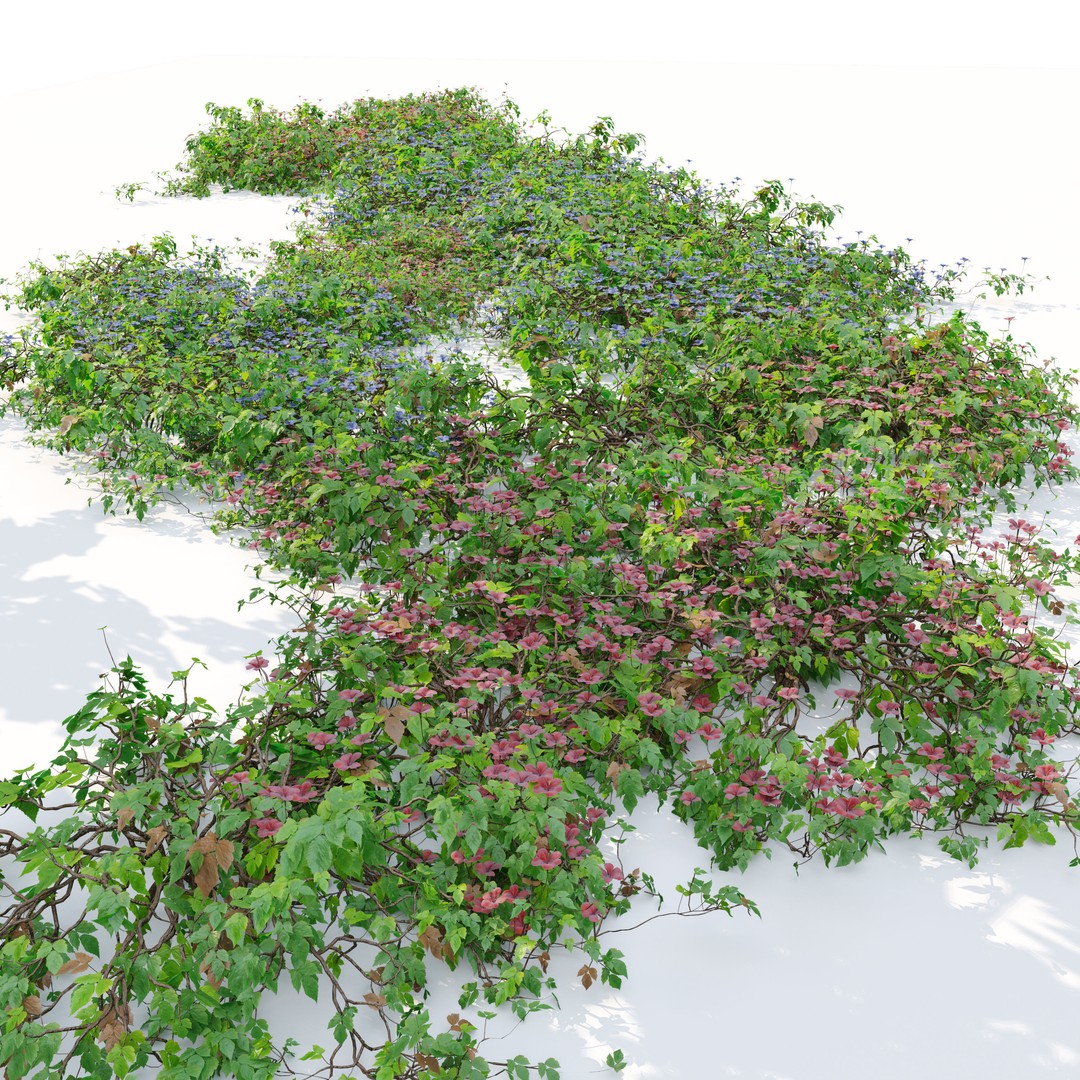 Flowering Creeper 3D Model – PBR Textured Plant Asset, FBX - View 4
